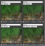 Screenshot 2022-02-14 at 08.27.56.jpg