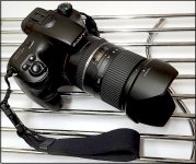 Camera Sony A65 on trivet in kitchen DSC01375.JPG