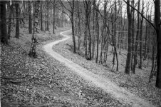 2022-01-00-00 (11).jpg