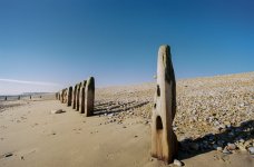 If old posts could scream.jpg