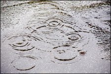 Raindrop ripples on flat roof A65 DSC03460.JPG