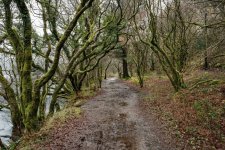 006 Burrator Reservoir 05-6915 PS Adj.JPG