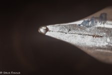 CCCP Bellows Nib (1 of 1).jpg