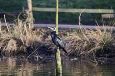 DSC_2805_fb.jpg DSC_2805_fb.jpg