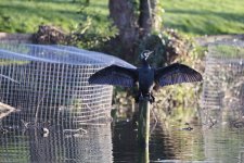 DSC_2844_fb.jpg DSC_2844_fb.jpg