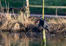 DSC_2788.jpg DSC_2788.jpg