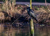 DSC_2805-2.jpg DSC_2805-2.jpg