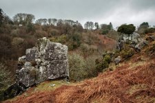 019 Ivy Tor Walk 19-7008 PS Adj.JPG