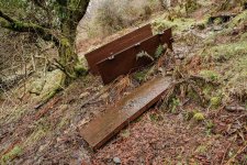 023 Ivy Tor Walk 23-7013 PS Adj.JPG