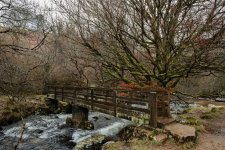 039 Ivy Tor Walk 39-7037 PS Adj.JPG