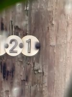 20220223_151034.jpg 20220223_151034.jpg