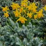 20220226_094650.jpg 20220226_094650.jpg