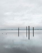 Mar 1-22-8.jpg Mar 1-22-8.jpg