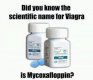 viagra.jpg