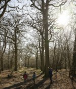 DSC_1103.jpg DSC_1103.jpg