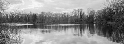 2022-03-05-ortho80-tommy-04.jpg 2022-03-05-ortho80-tommy-04.jpg