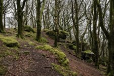 005 Burrator Reservoir 05-2014 PS Adj.JPG