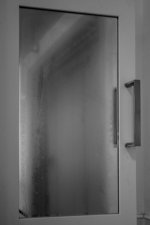 week 9 damp and tech reflection.jpg