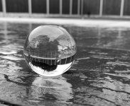 damp 4.jpg damp 4.jpg