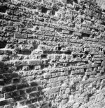 000005crop.jpg 000005crop.jpg