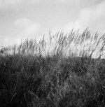 000001crop.jpg 000001crop.jpg