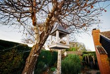 000008.JPG 000008.JPG