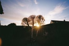 000025.JPG 000025.JPG