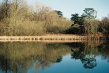 000045AUTO.jpg 000045AUTO.jpg