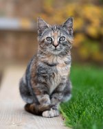 _DSC1669_s.jpg _DSC1669_s.jpg