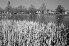 APX 400 510- Pyro Test 07.jpg APX 400 510- Pyro Test 07.jpg