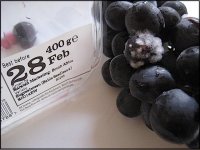 Sainsburys grapes mouldy 2 days before best by Ixus 70 IMG_4261.JPG Sainsburys grapes mouldy 2 days before best by Ixus 70 IMG_4261.JPG