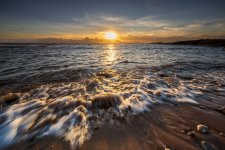 2A5454A9-D974-417C-9563-C1A202BC8EE8.jpeg 2A5454A9-D974-417C-9563-C1A202BC8EE8.jpeg