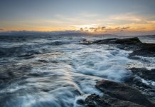 AA681AD6-9996-43BB-938D-0E33C85D942F.jpeg AA681AD6-9996-43BB-938D-0E33C85D942F.jpeg