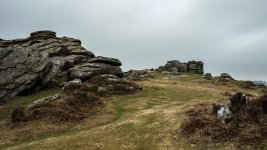 035 Honeybag Tor 03-7134 PS Adj.JPG