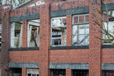 week 10 seen through window-2.jpg