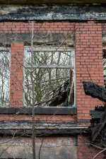 week 10 seen through window-5.jpg