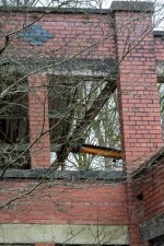 week 10 seen through window-6.jpg