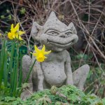 Week 10 - through a window.jpg