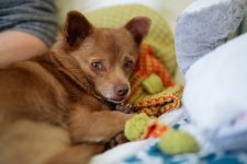 New Sony Lenses - 005 of 005 - A1102266.jpg