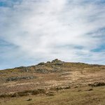 001 Arms Tor 01-66290001 PS Adj.JPG 001 Arms Tor 01-66290001 PS Adj.JPG