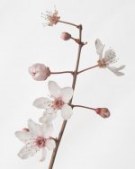 _7507706.jpg _7507706.jpg