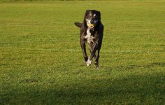 Image 29-01-2018 at 10.37.jpg