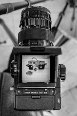 001 Reflection 01-66800029 PS Adj.JPG 001 Reflection 01-66800029 PS Adj.JPG