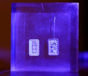 20220323-BCR_6121_1_week11.jpg 20220323-BCR_6121_1_week11.jpg