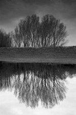 2022-03-25-trix800-zeissikon-20.jpg 2022-03-25-trix800-zeissikon-20.jpg