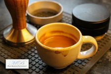 First Taste-edit.jpg