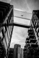 L1030773.jpg L1030773.jpg