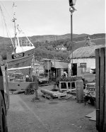 2019-05-19-0021-copy-tp.jpg 2019-05-19-0021-copy-tp.jpg