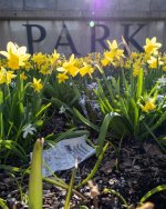 Mar 30-22-28.jpg Mar 30-22-28.jpg