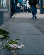 Mar 30-22-20.jpg Mar 30-22-20.jpg